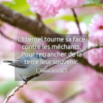 Picture 05 - Psaumes 34:16 LSG - L'Eternel tourne sa face contre les méchants, - Bible Verse Picture