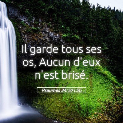 Picture 05 - Psaumes 34:20 LSG - Il garde tous ses os, Aucun d'eux n'est - Bible Verse Picture