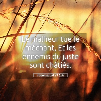 Picture 05 - Psaumes 34:21 LSG - Le malheur tue le méchant, Et les ennemis du - Bible Verse Picture