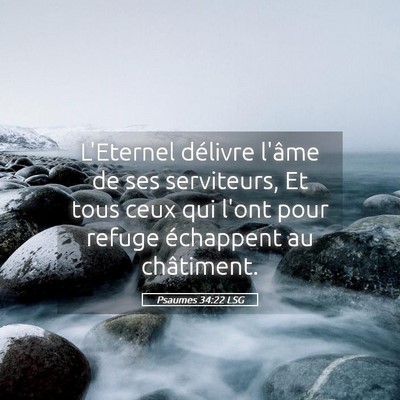 Picture 05 - Psaumes 34:22 LSG - L'Eternel délivre l'âme de ses serviteurs, Et - Bible Verse Picture