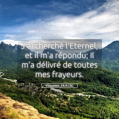 Picture 05 - Psaumes 34:4 LSG - J'ai cherché l'Eternel, et il m'a répondu; Il - Bible Verse Picture