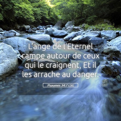 Picture 05 - Psaumes 34:7 LSG - L'ange de l'Eternel campe autour de ceux qui le - Bible Verse Picture