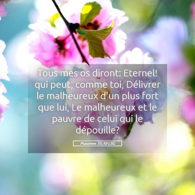 Picture 05 - Psaumes 35:10 LSG - Tous mes os diront: Eternel! qui peut, comme toi, - Bible Verse Picture