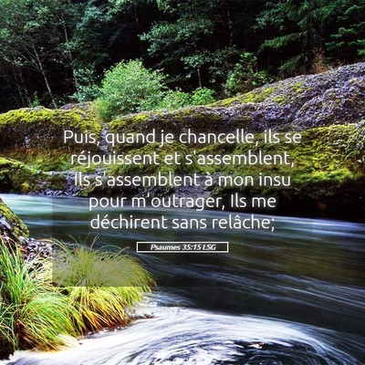 Picture 05 - Psaumes 35:15 LSG - Puis, quand je chancelle, ils se réjouissent et - Bible Verse Picture