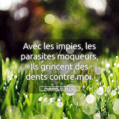 Picture 05 - Psaumes 35:16 LSG - Avec les impies, les parasites moqueurs, Ils - Bible Verse Picture
