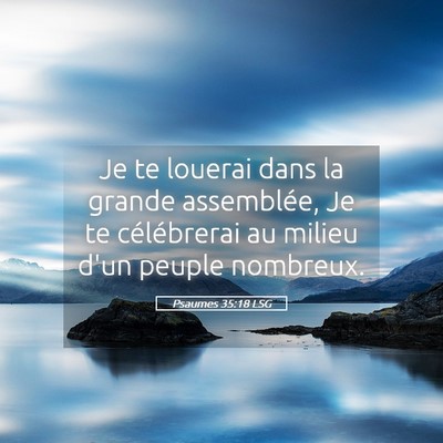 Picture 05 - Psaumes 35:18 LSG - Je te louerai dans la grande assemblée, Je te - Bible Verse Picture