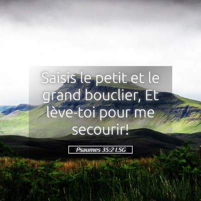 Picture 05 - Psaumes 35:2 LSG - Saisis le petit et le grand bouclier, Et - Bible Verse Picture