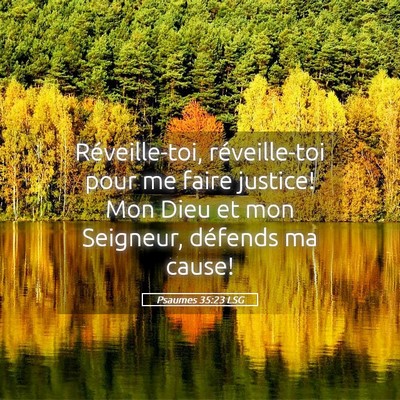 Picture 05 - Psaumes 35:23 LSG - Réveille-toi, réveille-toi pour me faire - Bible Verse Picture