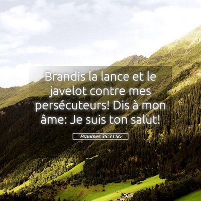 Picture 05 - Psaumes 35:3 LSG - Brandis la lance et le javelot contre mes - Bible Verse Picture