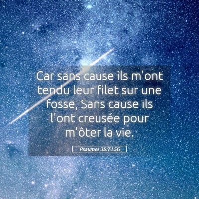 Picture 05 - Psaumes 35:7 LSG - Car sans cause ils m'ont tendu leur filet sur une - Bible Verse Picture