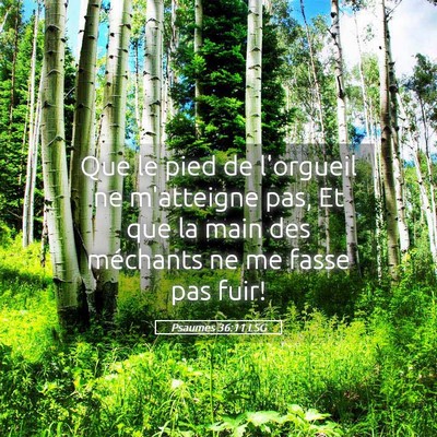 Picture 05 - Psaumes 36:11 LSG - Que le pied de l'orgueil ne m'atteigne pas, Et - Bible Verse Picture