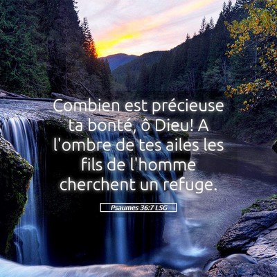 Picture 05 - Psaumes 36:7 LSG - Combien est précieuse ta bonté, ô Dieu! A - Bible Verse Picture