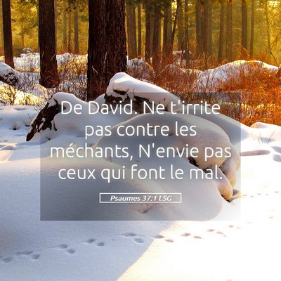 Picture 05 - Psaumes 37:1 LSG - De David. Ne t'irrite pas contre les méchants, - Bible Verse Picture
