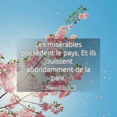 Picture 05 - Psaumes 37:11 LSG - Les misérables possèdent le pays, Et ils - Bible Verse Picture