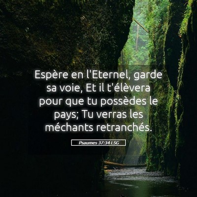 Picture 05 - Psaumes 37:34 LSG - Espère en l'Eternel, garde sa voie, Et il - Bible Verse Picture