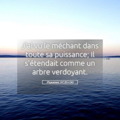 Picture 05 - Psaumes 37:35 LSG - J'ai vu le méchant dans toute sa puissance; Il - Bible Verse Picture
