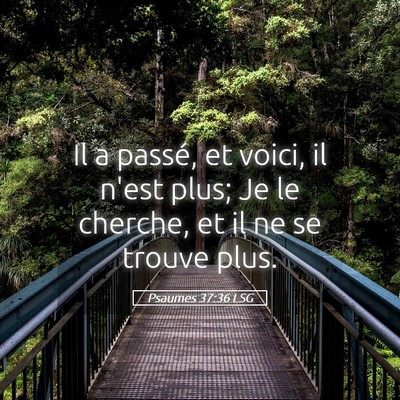 Picture 05 - Psaumes 37:36 LSG - Il a passé, et voici, il n'est plus; Je le - Bible Verse Picture