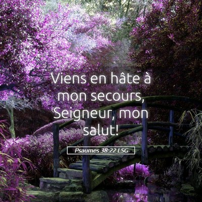 Picture 05 - Psaumes 38:22 LSG - Viens en hâte à mon secours, Seigneur, mon - Bible Verse Picture