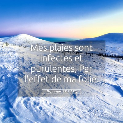Picture 05 - Psaumes 38:5 LSG - Mes plaies sont infectes et purulentes, Par - Bible Verse Picture