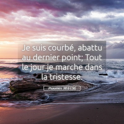 Picture 05 - Psaumes 38:6 LSG - Je suis courbé, abattu au dernier point; Tout le - Bible Verse Picture