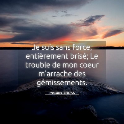 Picture 05 - Psaumes 38:8 LSG - Je suis sans force, entièrement brisé; Le - Bible Verse Picture