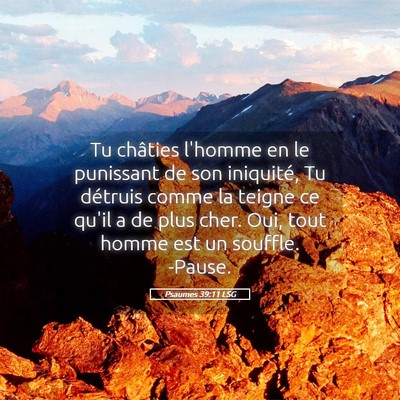 Picture 05 - Psaumes 39:11 LSG - Tu châties l'homme en le punissant de son - Bible Verse Picture