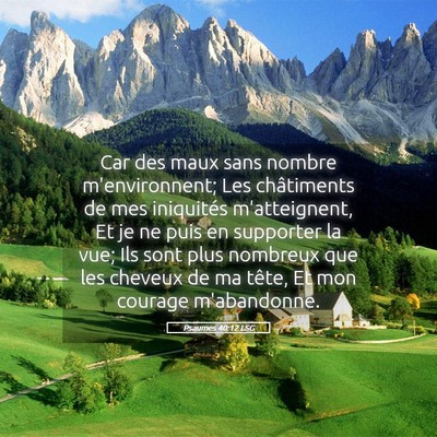 Picture 05 - Psaumes 40:12 LSG - Car des maux sans nombre m'environnent; Les - Bible Verse Picture