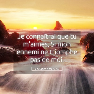 Picture 05 - Psaumes 41:11 LSG - Je connaîtrai que tu m'aimes, Si mon ennemi ne - Bible Verse Picture