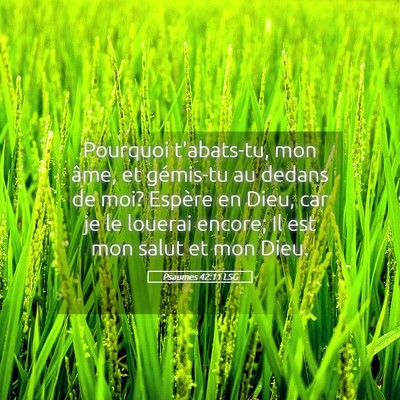 Picture 05 - Psaumes 42:11 LSG - Pourquoi t'abats-tu, mon âme, et gémis-tu au - Bible Verse Picture