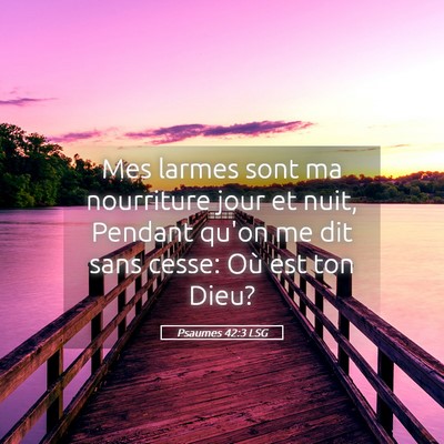 Picture 05 - Psaumes 42:3 LSG - Mes larmes sont ma nourriture jour et nuit, - Bible Verse Picture