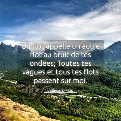 Picture 05 - Psaumes 42:7 LSG - Un flot appelle un autre flot au bruit de tes - Bible Verse Picture