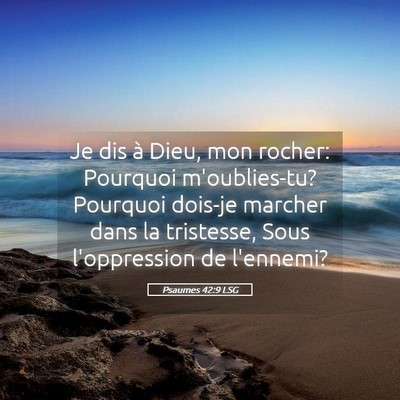 Picture 05 - Psaumes 42:9 LSG - Je dis à Dieu, mon rocher: Pourquoi - Bible Verse Picture