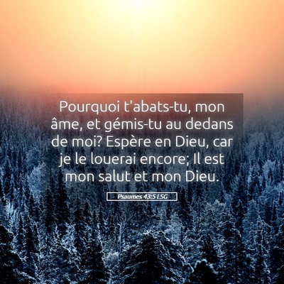 Picture 05 - Psaumes 43:5 LSG - Pourquoi t'abats-tu, mon âme, et gémis-tu au - Bible Verse Picture