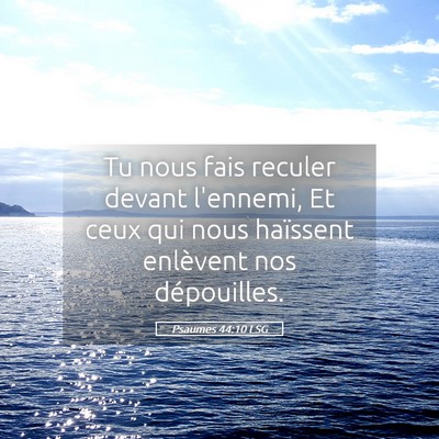 Picture 05 - Psaumes 44:10 LSG - Tu nous fais reculer devant l'ennemi, Et ceux qui - Bible Verse Picture