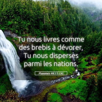 Picture 05 - Psaumes 44:11 LSG - Tu nous livres comme des brebis à dévorer, Tu - Bible Verse Picture