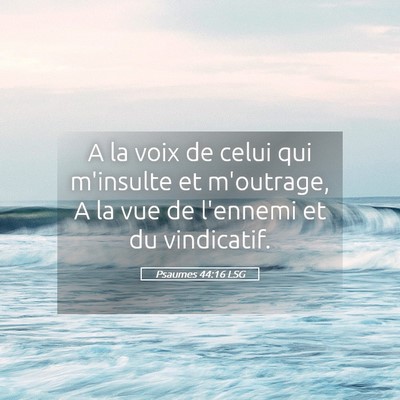 Picture 05 - Psaumes 44:16 LSG - A la voix de celui qui m'insulte et m'outrage, A - Bible Verse Picture