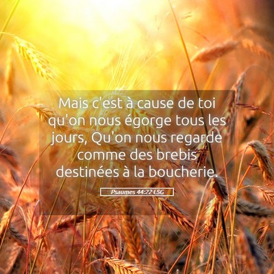 Picture 05 - Psaumes 44:22 LSG - Mais c'est à cause de toi qu'on nous égorge - Bible Verse Picture