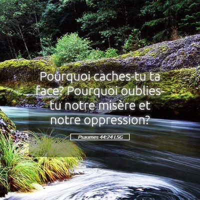 Picture 05 - Psaumes 44:24 LSG - Pourquoi caches-tu ta face? Pourquoi oublies-tu - Bible Verse Picture