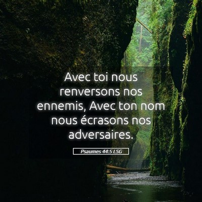 Picture 05 - Psaumes 44:5 LSG - Avec toi nous renversons nos ennemis, Avec ton - Bible Verse Picture