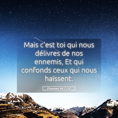 Picture 05 - Psaumes 44:7 LSG - Mais c'est toi qui nous délivres de nos ennemis, - Bible Verse Picture