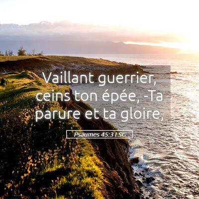 Picture 05 - Psaumes 45:3 LSG - Vaillant guerrier, ceins ton épée, -Ta parure - Bible Verse Picture