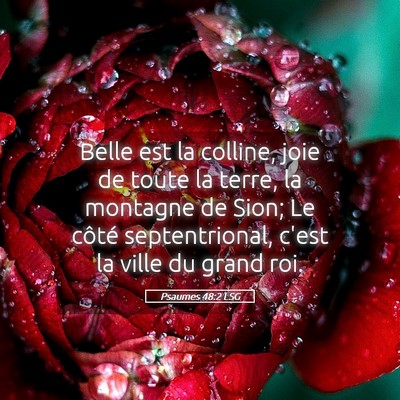 Picture 05 - Psaumes 48:2 LSG - Belle est la colline, joie de toute la terre, la - Bible Verse Picture