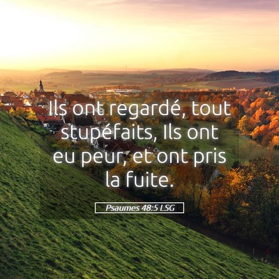 Picture 05 - Psaumes 48:5 LSG - Ils ont regardé, tout stupéfaits, Ils ont eu - Bible Verse Picture
