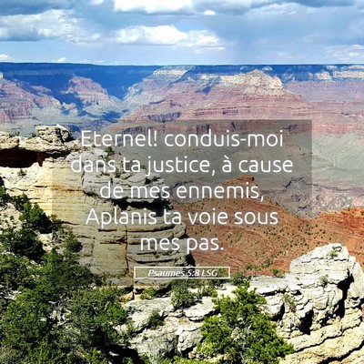 Picture 05 - Psaumes 5:8 LSG - Eternel! conduis-moi dans ta justice, à cause de - Bible Verse Picture
