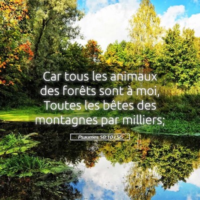 Picture 05 - Psaumes 50:10 LSG - Car tous les animaux des forêts sont à moi, - Bible Verse Picture