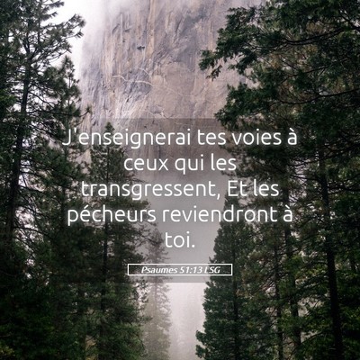 Picture 05 - Psaumes 51:13 LSG - J'enseignerai tes voies à ceux qui les - Bible Verse Picture