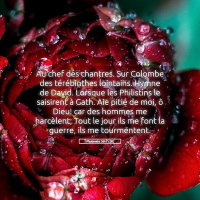Picture 05 - Psaumes 56:1 LSG - Au chef des chantres. Sur Colombe des - Bible Verse Picture