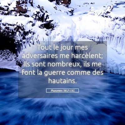 Picture 05 - Psaumes 56:2 LSG - Tout le jour mes adversaires me harcèlent; Ils - Bible Verse Picture