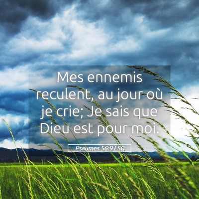 Picture 05 - Psaumes 56:9 LSG - Mes ennemis reculent, au jour où je crie; Je - Bible Verse Picture