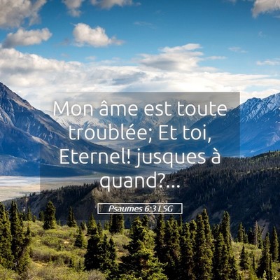 Picture 05 - Psaumes 6:3 LSG - Mon âme est toute troublée; Et toi, Eternel! - Bible Verse Picture